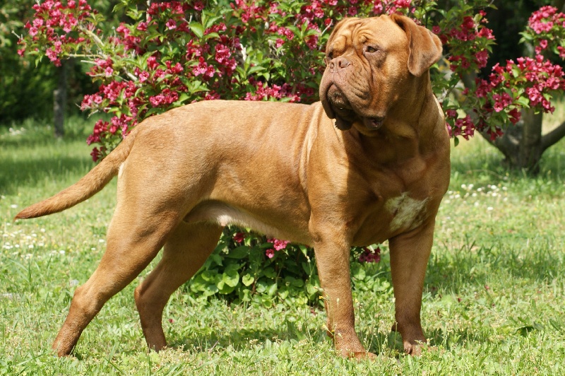 Escort girl De la tour gelee