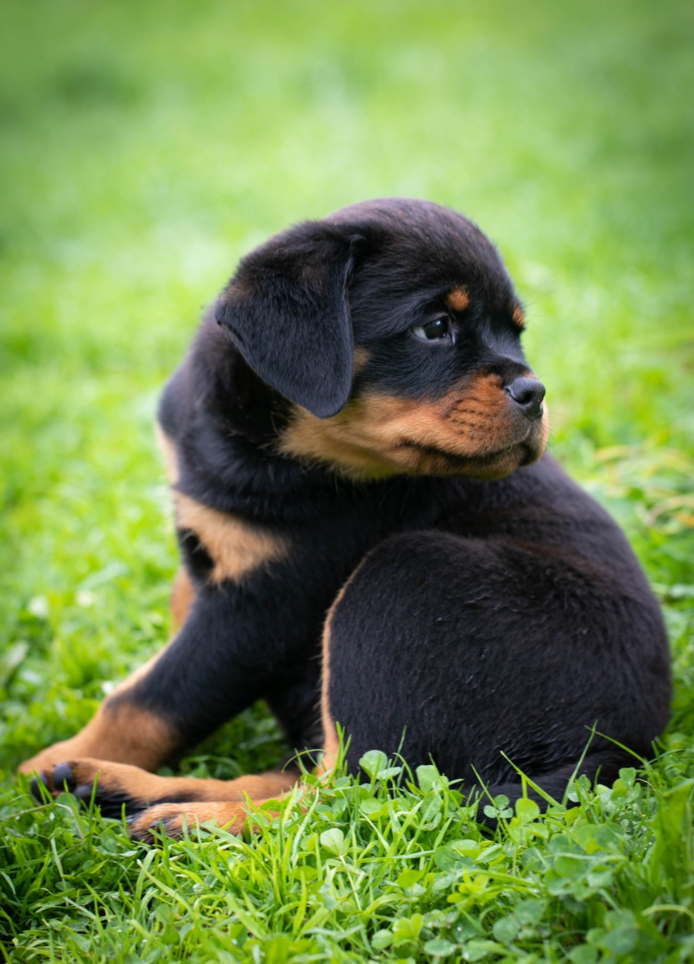 RDV au printemps pour de nouvelles naissances ...